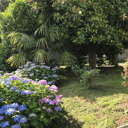 Appartamento La Camelia Ameno Buitenkant foto