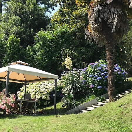Appartamento La Camelia Ameno Buitenkant foto