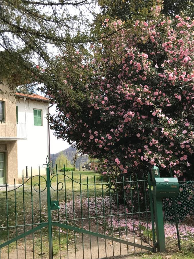 Appartamento La Camelia Ameno Buitenkant foto
