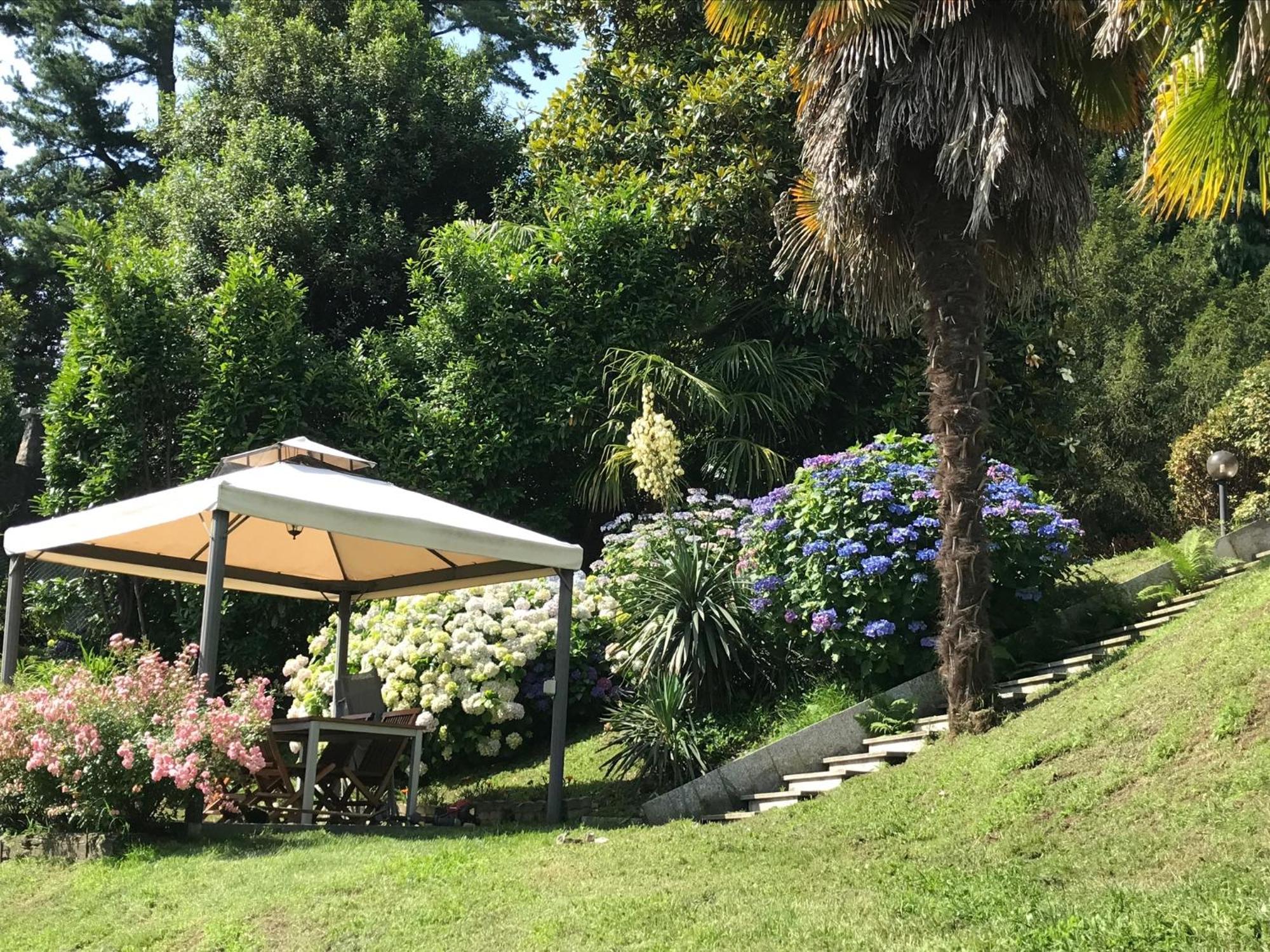 Appartamento La Camelia Ameno Buitenkant foto