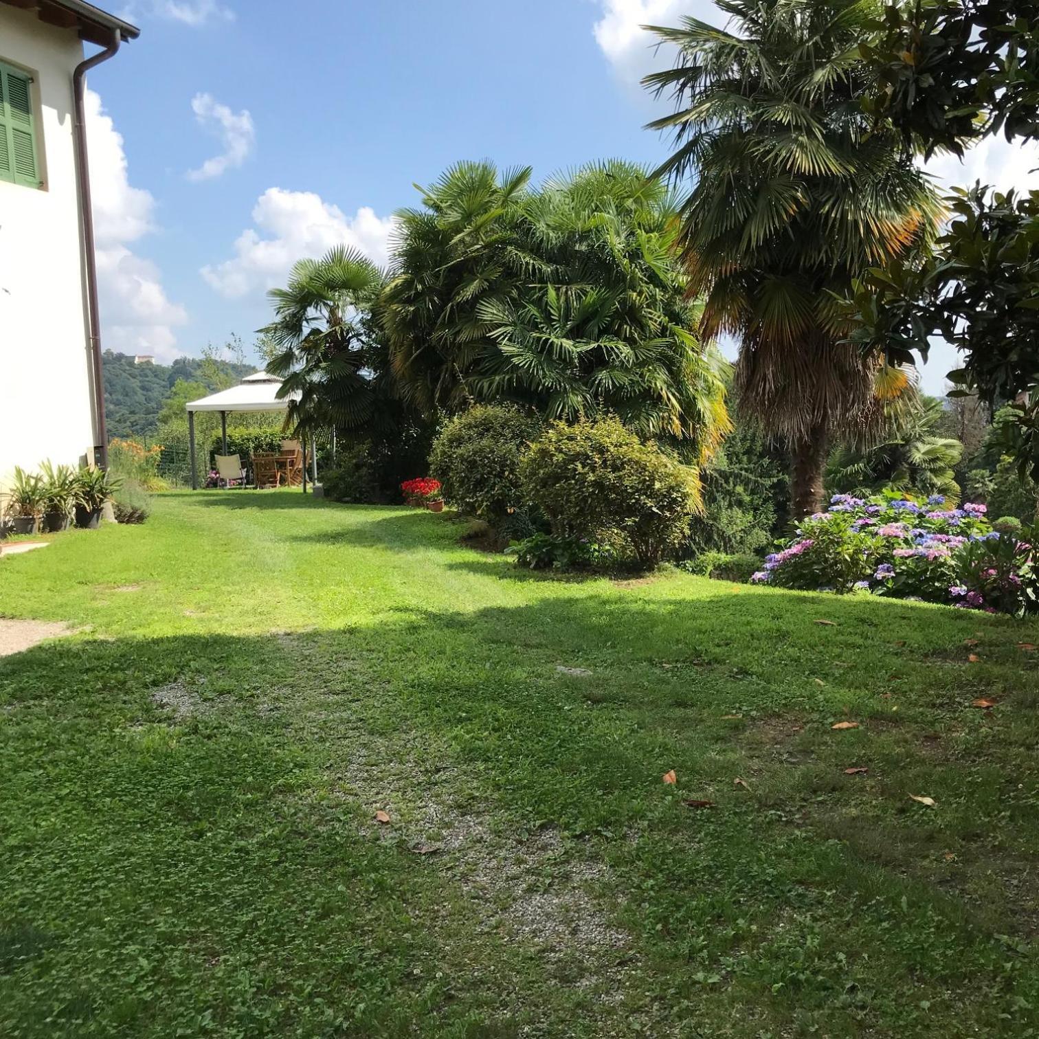 Appartamento La Camelia Ameno Buitenkant foto